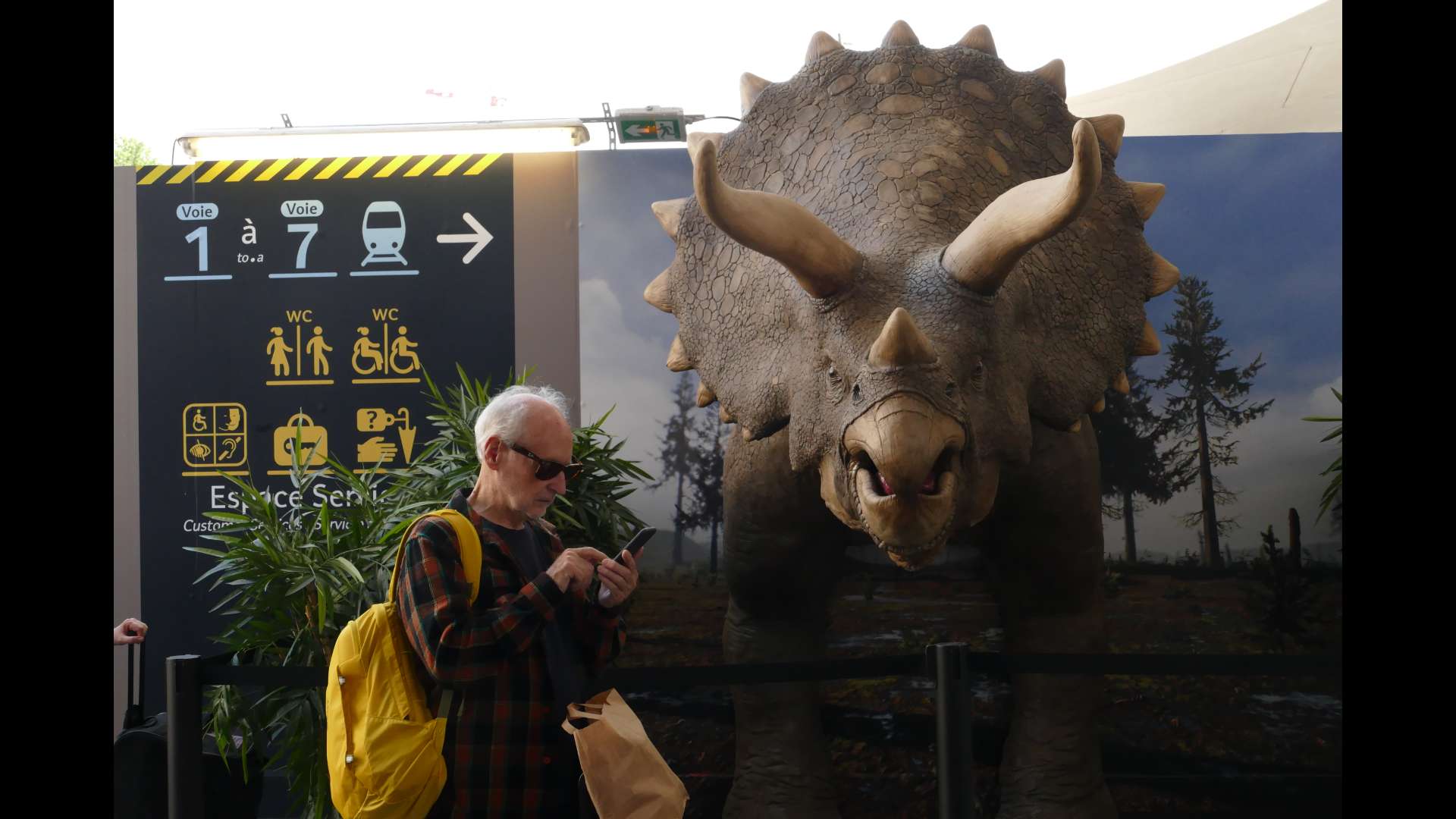 Exposition présentée en 2018 à la Gare d'Austerlitz à Paris par le Muséum national d'Histoire Naturelle. « À la découverte de la paléontologie, du plus petit des microfossiles au plus grand des dinosaures ».
Photo copyright : Sophie Cattoire