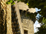 Ch�teau de Coulonges � Montignac