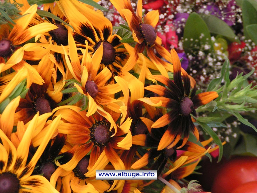 Les bouquets d'Yvonne sur le marché du Bugue le samedi matin