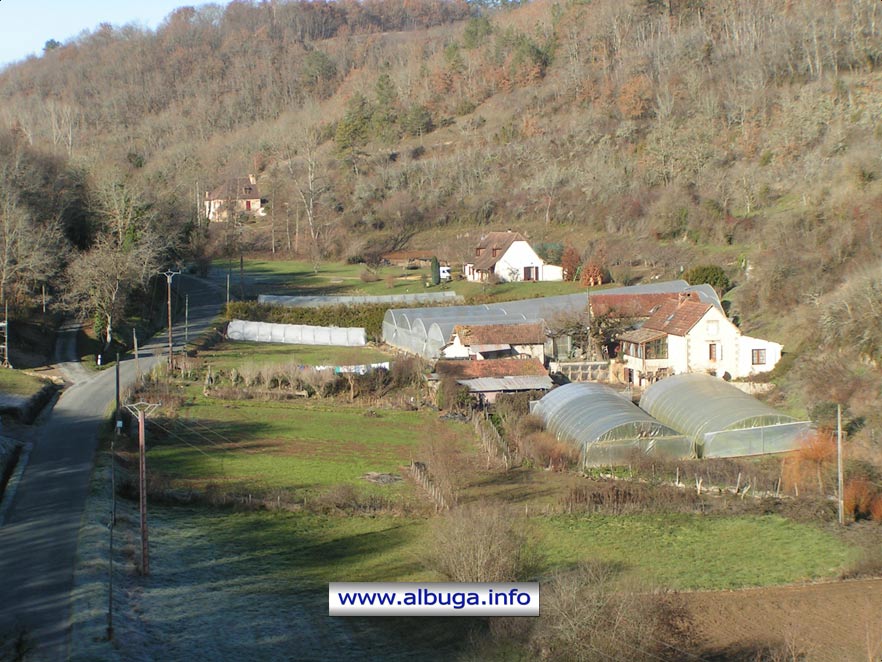 Sous les serres, la Lutte Biologique Intégrée 100 % naturelle à Mauzens Miremont en Périgord