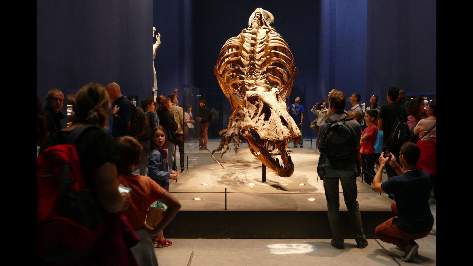 Exposition présentée en 2018 : « Un T. rex à Paris » - Jardin des Plantes, Galerie de Minéralogie et de Géologie - Muséum national d'Histoire Naturelle.
Photo copyright : Sophie Cattoire