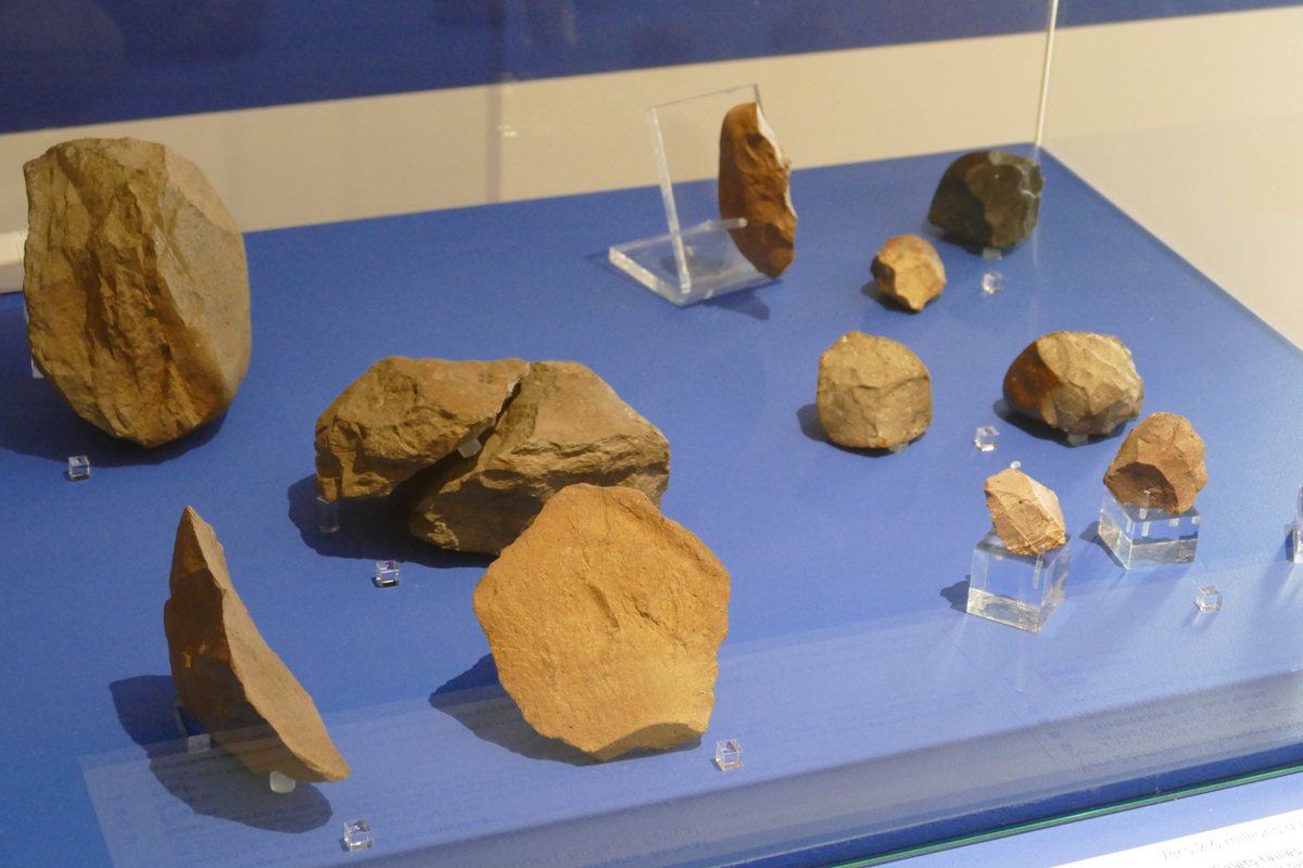 « Trousse à outils » préhistoriques contenant nucléus, éclats, outils de martelage et enclumes.